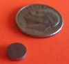 Samarium Cobalt Magnets 1/4 in x 1/16 in Disc