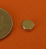 N52 Neodymium Disc Magnets 3/16 in x 1/16 in