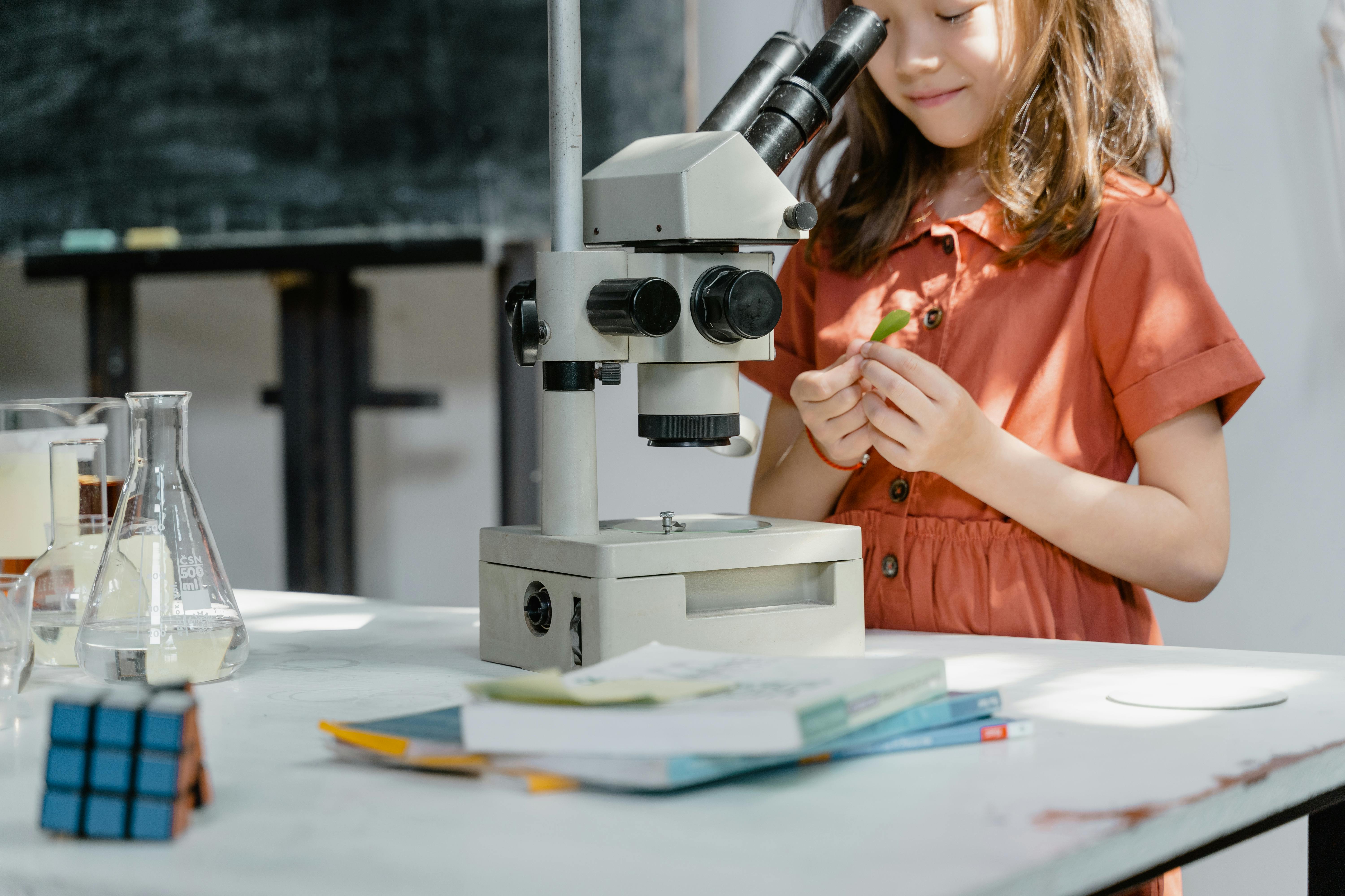Magnets for Science: Essential Uses and Experiments for All Ages