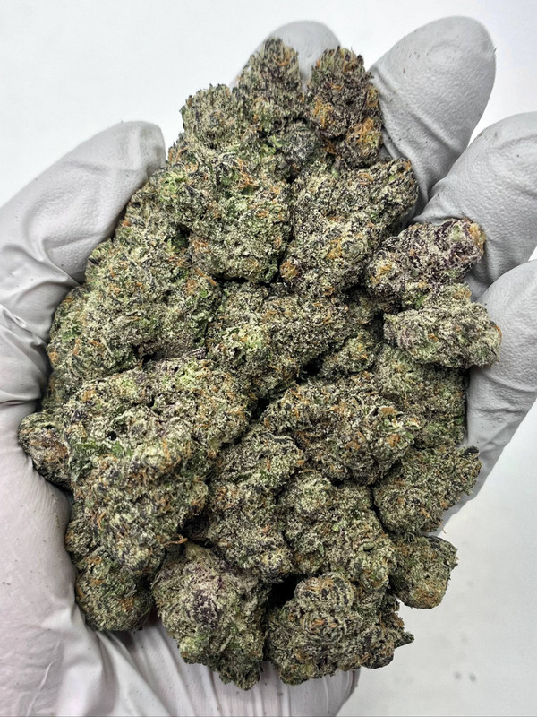 Rainbow Sherbert