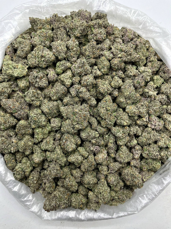Rainbow Sherbert