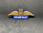 Future Pilot Patch        