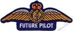 Future Pilot Patch        