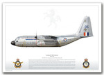 High Quality Print A97-205, No. 36 Squadron, RAAF Base Richmond by Juanita Franzi