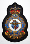 3AMES - Aeromedical Evacuation Squadron Embroidered Crest