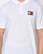 Tommy Hilfiger Twisted Flag Polo DM14102