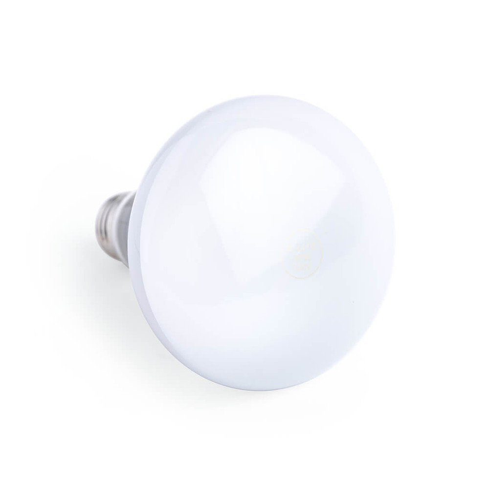 KL1665, Indoor/Outdoor 65W Flood Light