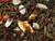 <p>Oh Christmas tree, oh Christmas tree┤! No, we have not hidden a  Christmas tree in our tea, but seek to invoke the anticipation of the  holidays with this blend of festive greens. The traditional red of the   peppercorns and the safflower is shining together with the classical  gold of the orange slices and the "royal" leaves of our Chinese Sencha  and Japanese Bancha! This festive combination of smoothly sweet almond  and refreshing orange tickles the taste buds of all Christmas angels and  of those, who would like to be one.</p>




<p>Ingredients: Green tea (80 %), orange slices, sliced <em><strong>almonds</strong></em>, flavouring, pink peppercorns, safflower</p>




<p>Drink when: In the mood for Yule or anytime!</p>




<p>Your item will be packed in new recycled tin tie bags suitable for packaging coffee and leaf tea. Our block bottom tin tie bags are poly-lined and food grade safe.</p>