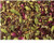 <p><em><strong>According  to Ayurvedic teachings this blend is soothing and balancing. Try it  yourself, and you will agree. Sweet and soft in taste with a tender  flowery accent, it invites you to a relaxing moment and makes you feel  really good. Decorated rose leaves accentuate the very attractive appeal  of this blend. <br />




<br />




Drink when: Anytime when feeling out of sync.<br />




</strong></em><br />




<em><strong>Ginger pieces, fennel, cardamom (whole), cinnamon, camomile, liquorice root, and rose petals, coriander.<br />




Important: Always brew with boiling water and let infuse for 5-10 minutes in order to obtain a safe beverage!</strong></em></p>




<p><br /></p>




<p>Your item will be packed in new recycled tin tie bags suitable for packaging coffee and leaf tea. Our block bottom tin tie bags are poly-lined and food grade safe.</p>