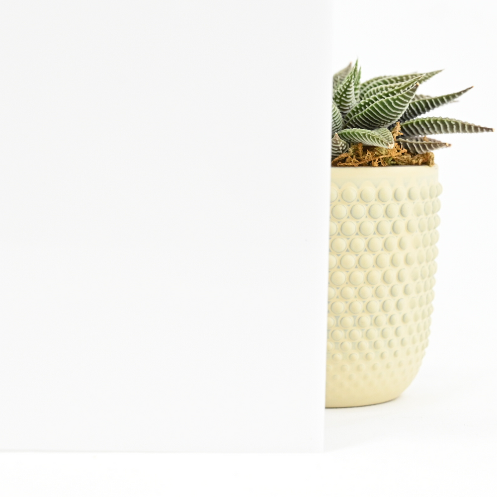 White B59, Polycarbonate, 1/4" x 12" x 12"