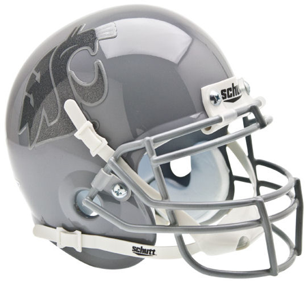 Washington State Cougars Mini Authentic Schutt Grey Helmet