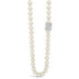 Absolute Cream Pearl Short Necklace_10002