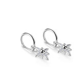 Newbridge Silver Plated Star Earring with Clear Stones _10003