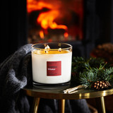 FieldDay Winter 3 Wick Extra Large Candle mood