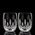 Waterford Lismore Connoisseur Rounded Tumblers Set of 2_10002