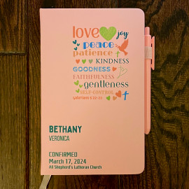 Fruit of the Spirit Personalized Journal, Pink and Blue, Confirmation Gift, Baptism Gift, Graduation Gift, Scripture, Bible Verse, Personalized Journal, Confirmation Class Gift