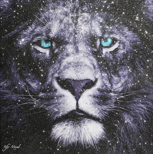 Lion Stare