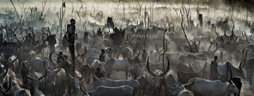 Mankind 2 (Monochromatic)