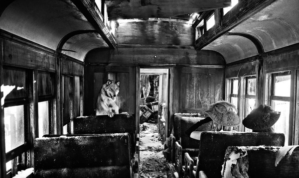 Ride The Ghost Train
