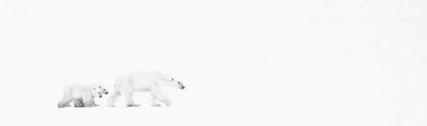 White Out