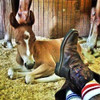 Retro rainbow tube socks for allies standing with the LGBTQ+ community
