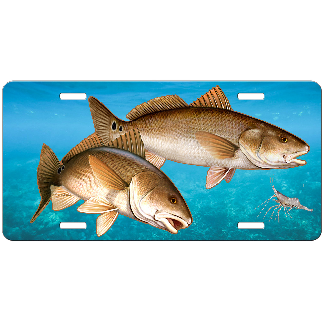 Redfish License Plate, Fishing Gifts for Men, Fisherman Gift, Blue