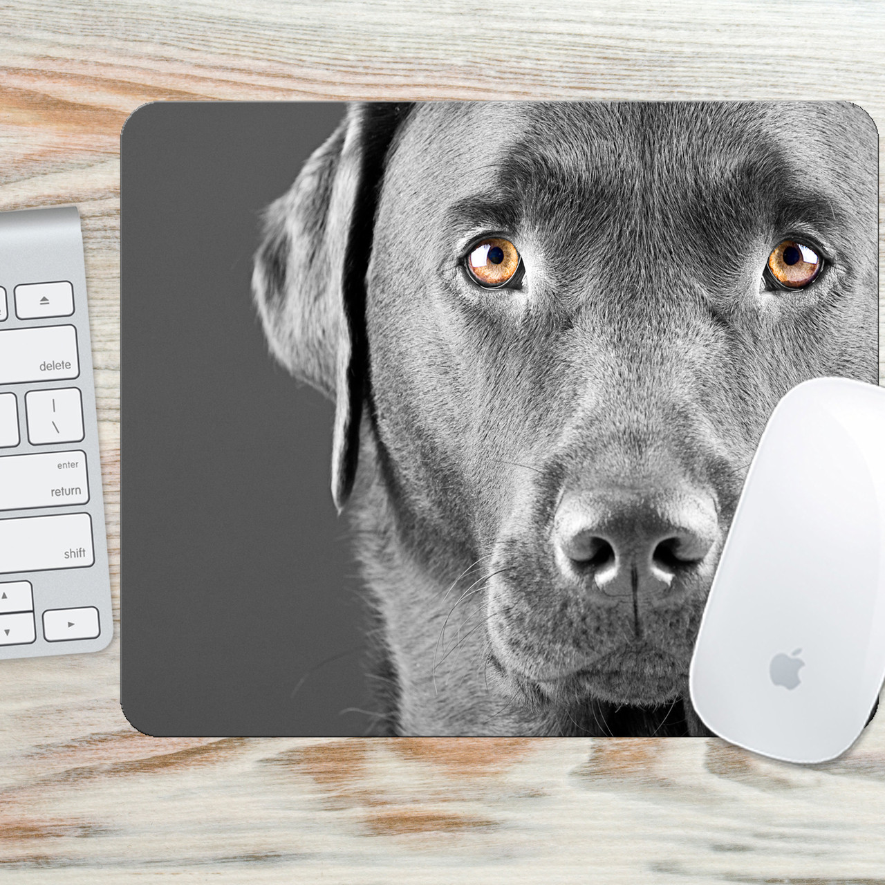 dog mouse pad