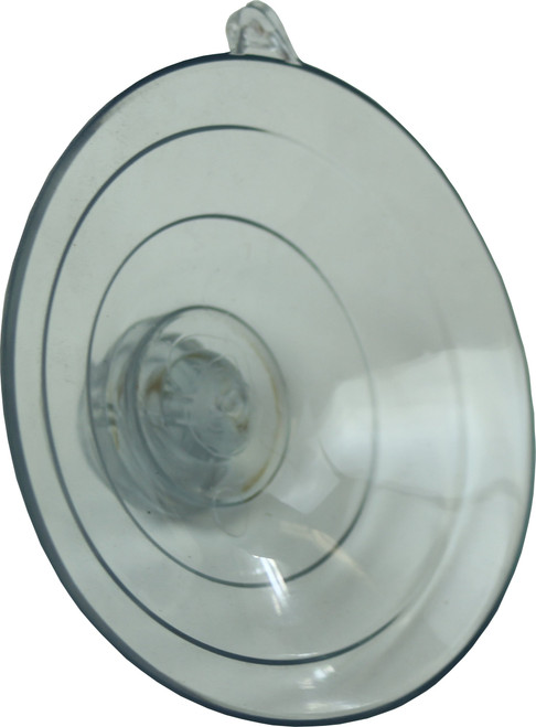 Set of Two Glass-Adhering Suction Cups