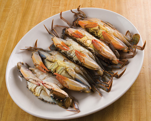 Fresh Soft Shell Crabs
