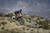 Fixplus Use - Bike packing. Fixplus Use - Bike packing.