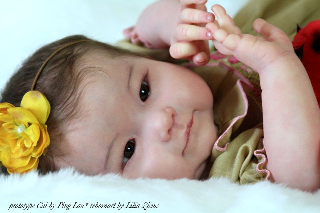 Cai Vinyl Reborn Doll Kit by Ping Lau