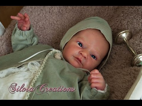 reborn baby dolls mixed