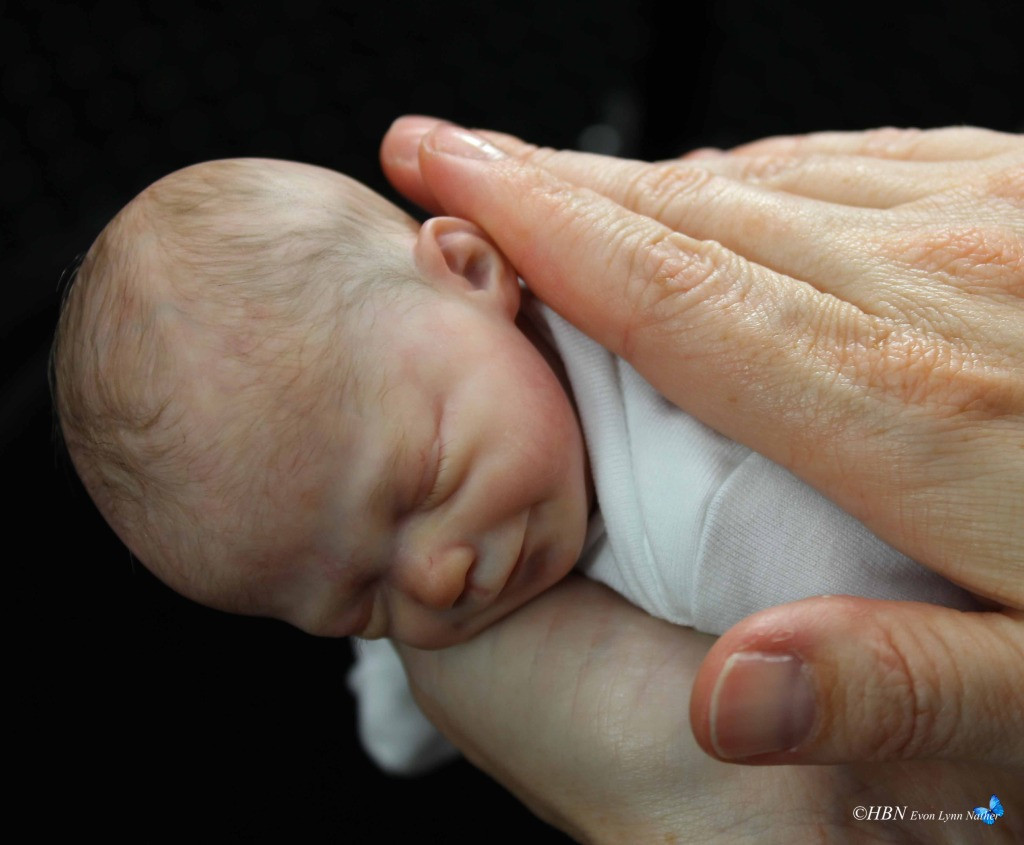 miniature reborn dolls