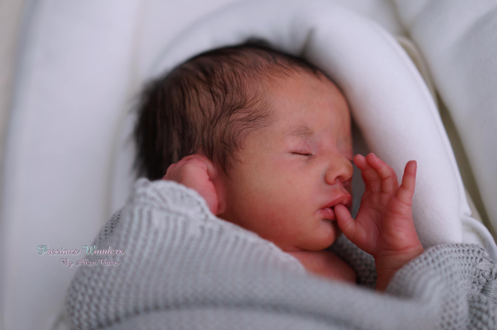 Lore Reborn Vinyl Doll Kit by Karola Wegerich