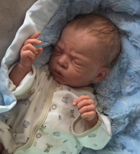 Owen Francis Reborn Vinyl Doll Kit by Laura Tuzio Ross