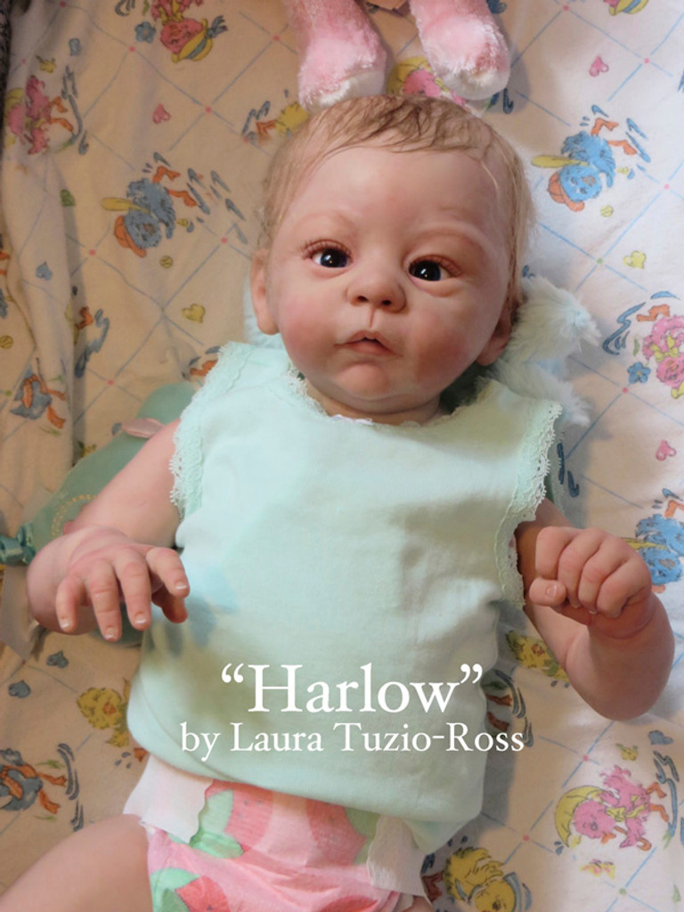 Harlow by Laura Tuzio Ross