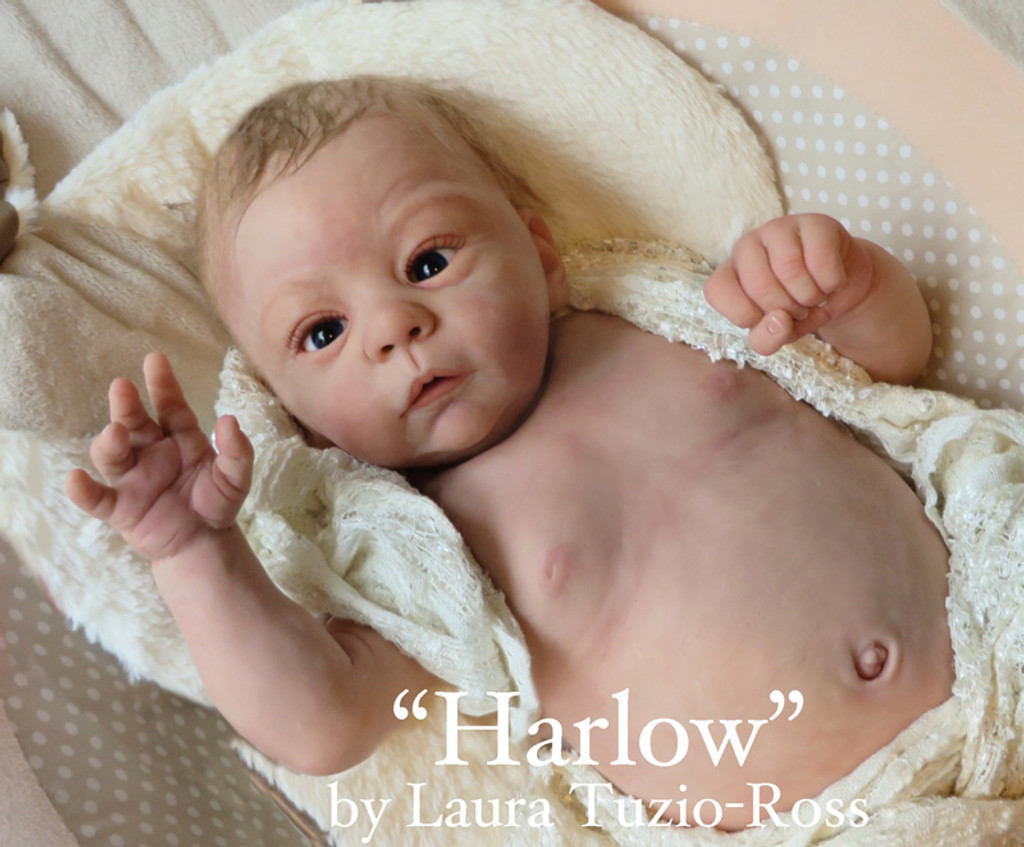 Harlow by Laura Tuzio Ross