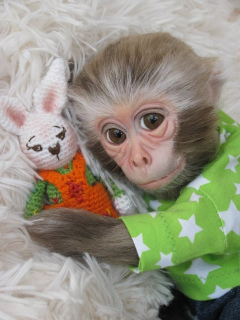Maki Reborn Vinyl Monkey Doll Kit by CHISTO SKOUROYANNIS 