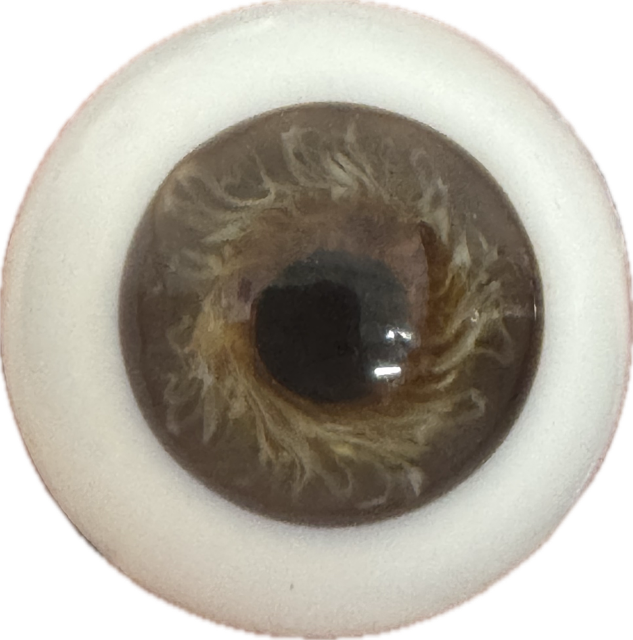 German Glass Eyes: Lifelike Full Round Mouth Blown Hazel  MA05