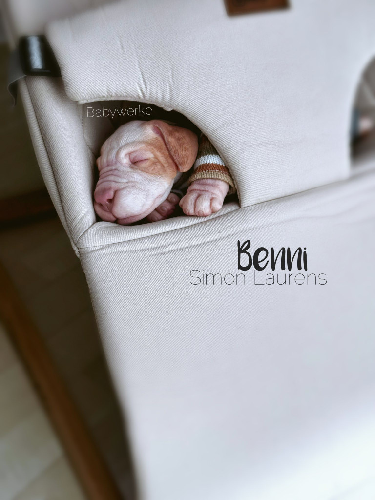 Benni the Labrador Puppy Reborn Vinyl Doll Kit by Simon Laurens 15