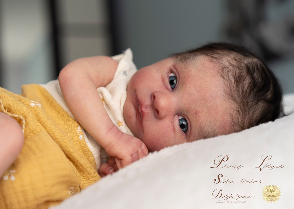 Lillegroda Reborn Vinyl Doll Kit by  Sabine Altenkirch 18" 