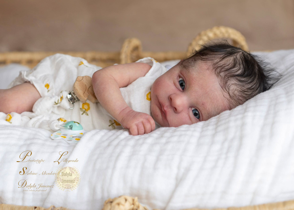 Lillegroda Reborn Vinyl Doll Kit by  Sabine Altenkirch 18" 