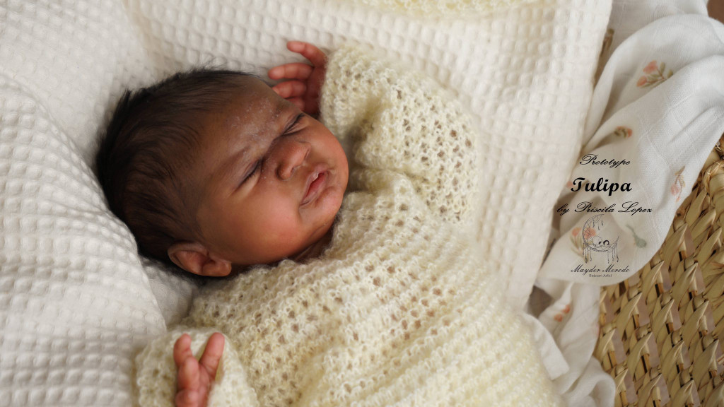 Tulipa Reborn Vinyl Doll Kit by Priscila Lopez Limited Edition 17"