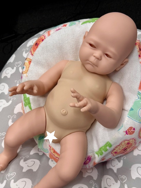 Carmela Reborn Vinyl Doll Kit by Sheila Michael 20" $50 Discount for Off Color Torso 