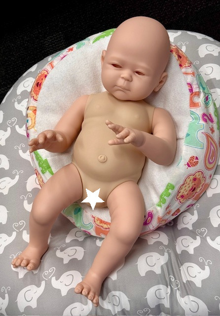 Carmela Reborn Vinyl Doll Kit by Sheila Michael 20" $50 Discount for Off Color Torso 