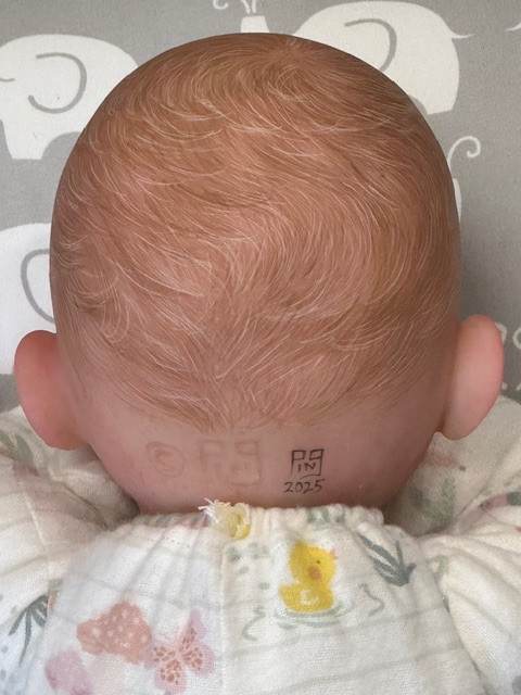 Colby Silicone Reborn CUDDLE BABY by Ping Lau Ready to Go Frogs  18"