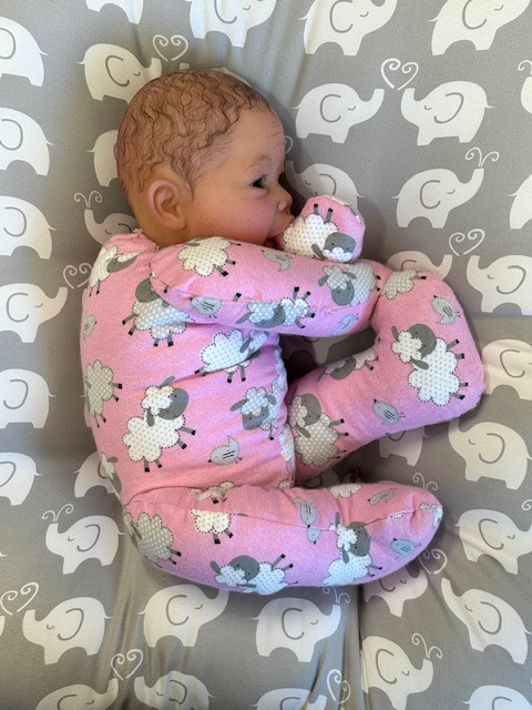 Colby Silicone Reborn CUDDLE BABY Ethnic Skin Tone by Ping Lau Ready to Go Pink Sheep  18"