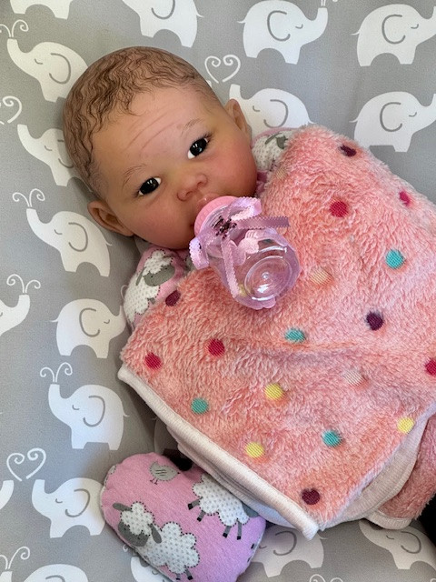 Colby Silicone Reborn CUDDLE BABY Ethnic Skin Tone by Ping Lau Ready to Go Pink Sheep  18"