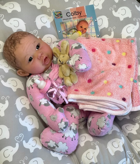 Colby Silicone Reborn CUDDLE BABY Ethnic Skin Tone by Ping Lau Ready to Go Pink Sheep  18"