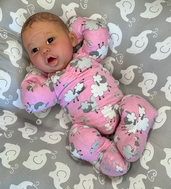 Colby Silicone Reborn CUDDLE BABY Ethnic Skin Tone by Ping Lau Ready to Go Pink Sheep  18"
